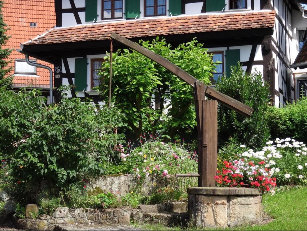 Gites Et Chambres D'Hotes Maison Ungerer Hunspach Bagian luar foto