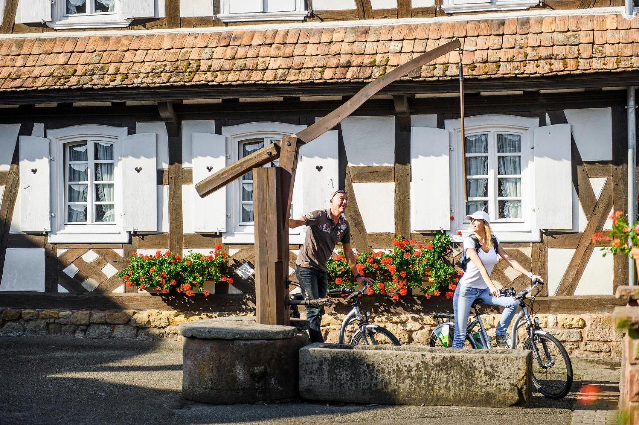 Gites Et Chambres D'Hotes Maison Ungerer Hunspach Bagian luar foto