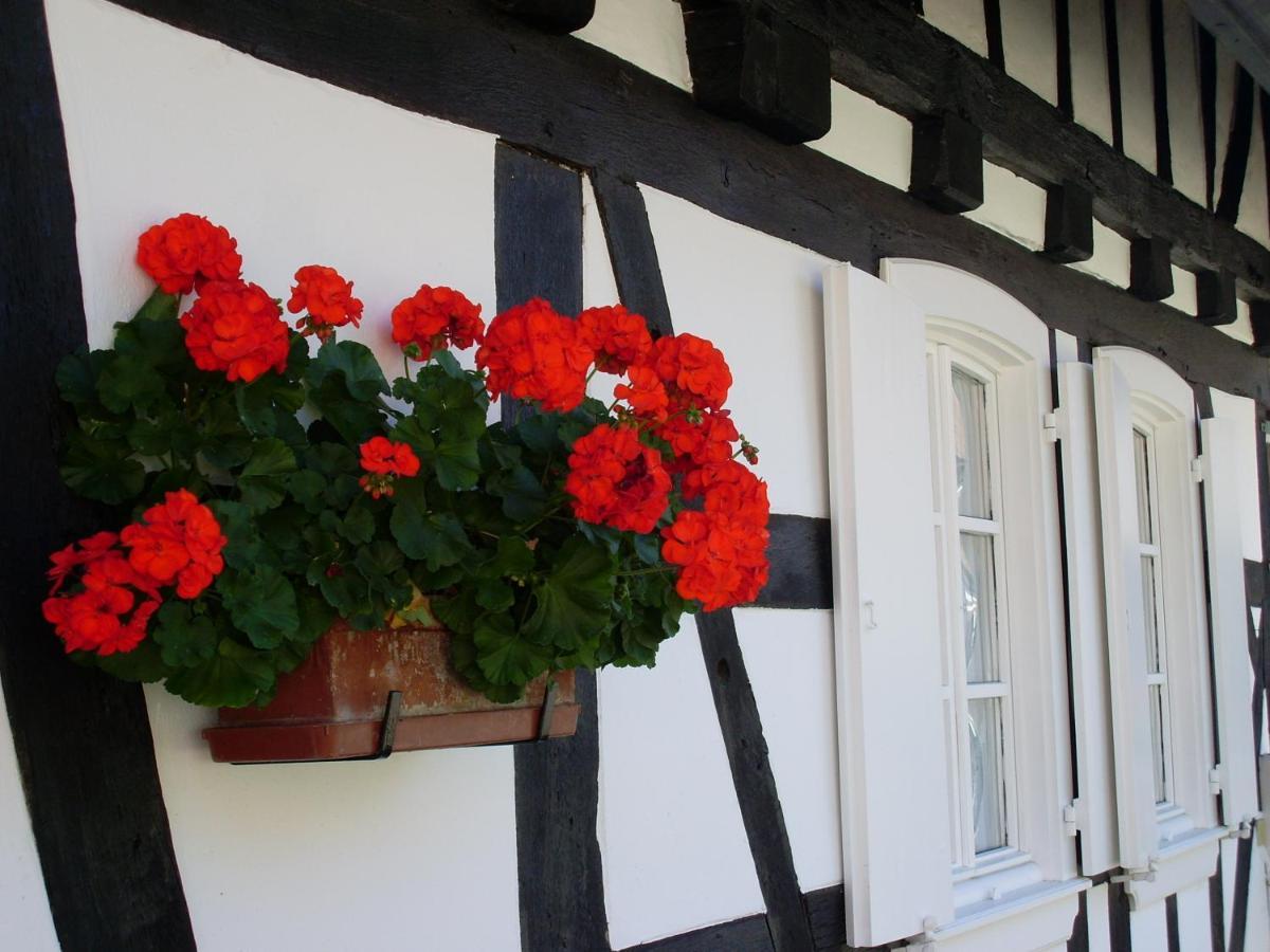Gites Et Chambres D'Hotes Maison Ungerer Hunspach Bagian luar foto