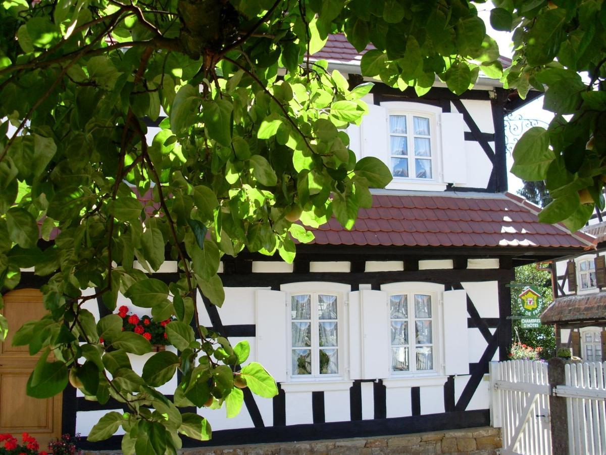 Gites Et Chambres D'Hotes Maison Ungerer Hunspach Bagian luar foto