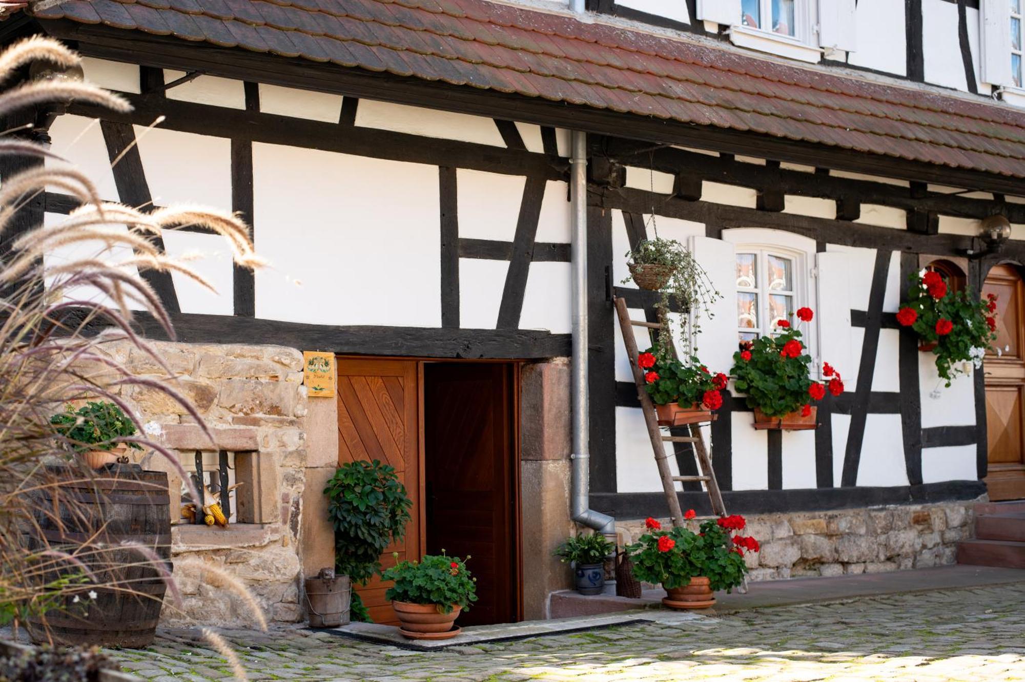 Gites Et Chambres D'Hotes Maison Ungerer Hunspach Bagian luar foto