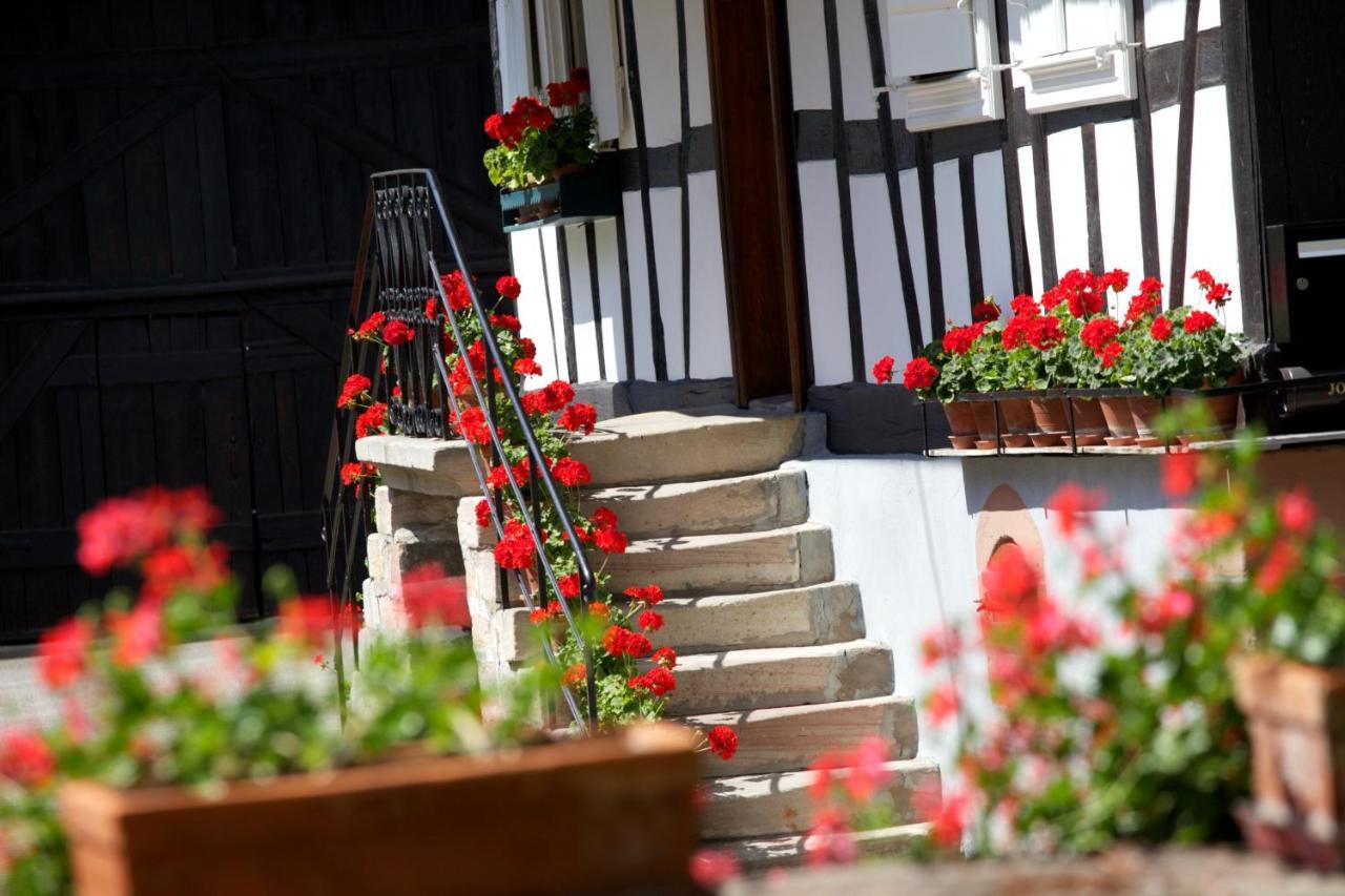 Gites Et Chambres D'Hotes Maison Ungerer Hunspach Bagian luar foto